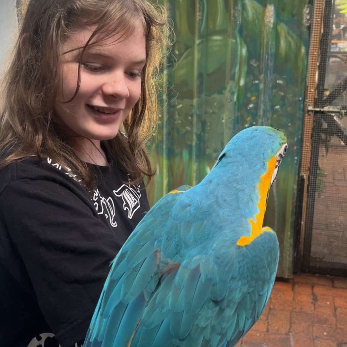 8e7cd2218498f20b8bd5f615e9609d8a